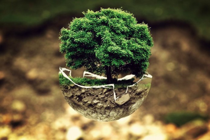 earth-day-quizards ধরিত্রী দিবস - কুইজার্ডস
