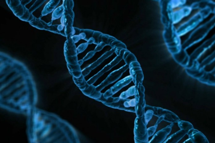 synbio-dna-igem-quizards সিন্থ্যাটিক বায়োলজি ও আইজেম: ডিএনএ - কুইজার্ডস