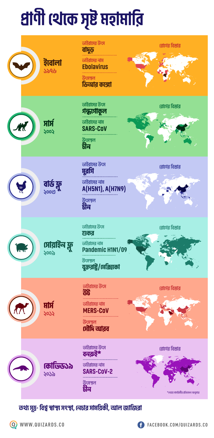 প্রাণী থেকে আসা মহামারি ইনফোগ্রাফিক - কুইজার্ডস (Quizards)