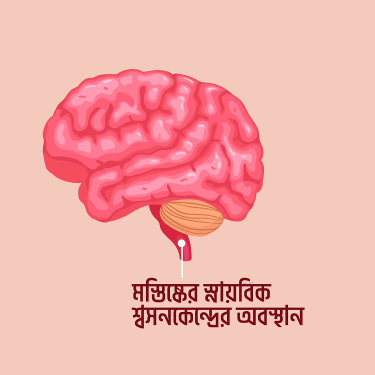 যে চারটি কারণে অ্যালকোহল যুক্ত বাষ্পের ভাপ নেবেন না: কারণ ৩ - কুইজার্ডস (Quizards)